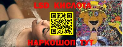 стафф Камышлов