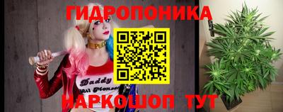 гашик Канаш