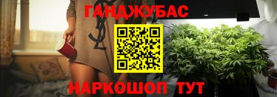 стафф Камышлов