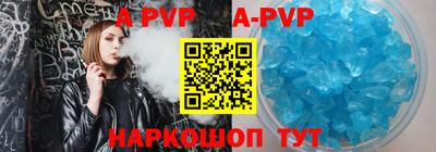 стафф Камышлов