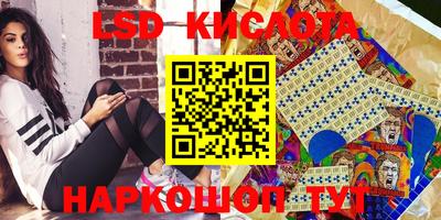 стафф Камышлов