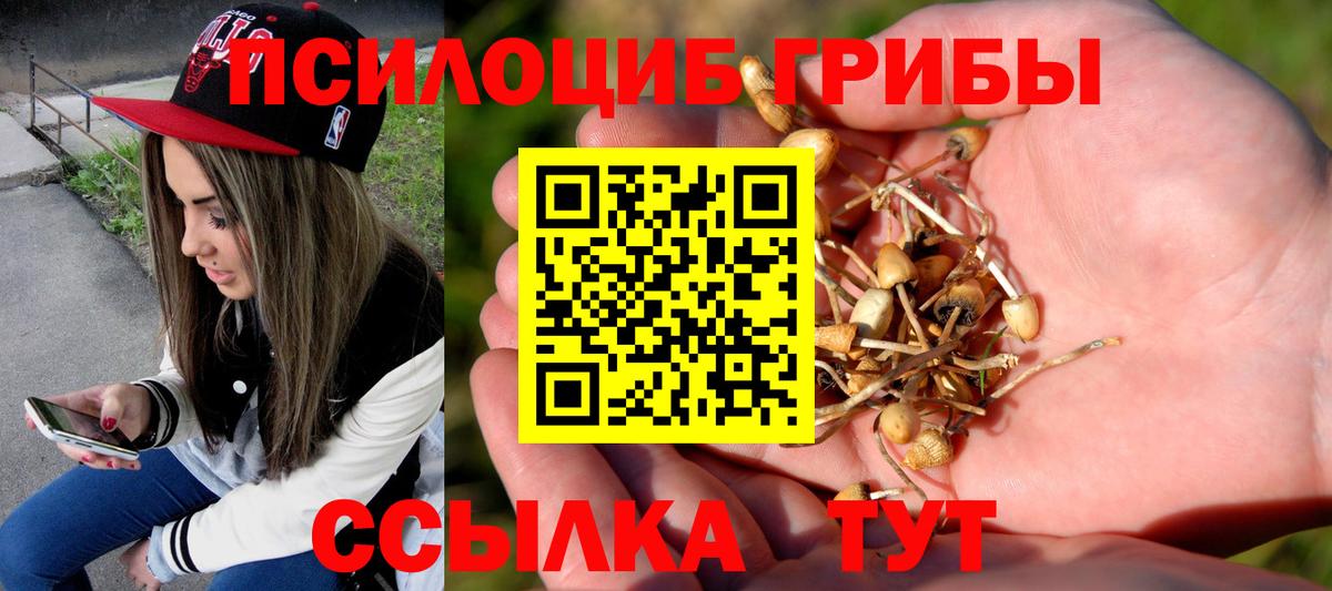 ЭКСТАЗИ  МАРИХУАНА  Курчатов  Вход с VPN  Канабис  Гашиш  Мефедрон кристаллы 