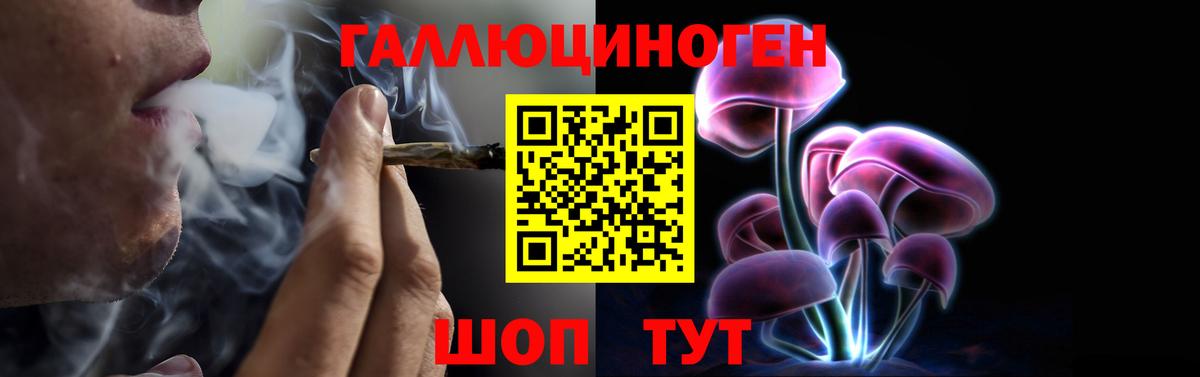 Псилоцибиновые грибы мицелий  Галлюциногенные грибы Psilocybine cubensis  Вход с VPN  Курчатов 