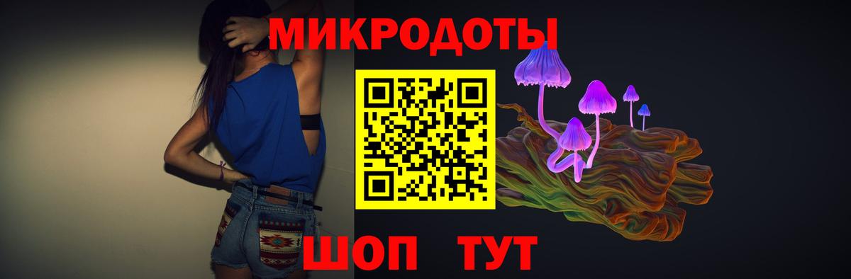 Галлюциногенные грибы Psilocybe Курчатов